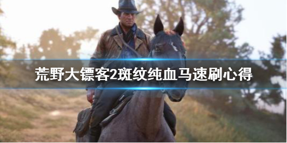 荒野大镖客2斑纹纯血马怎么刷?