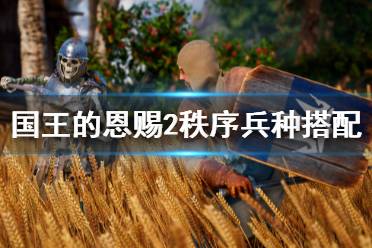 国王的恩赐2秩序兵种怎么搭?