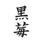 黑莓小说网页版软件图标