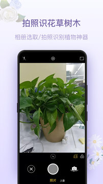 拍照识花神器软件截图2