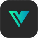 大视VLOG软件图标