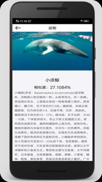 拍照识图君软件截图1