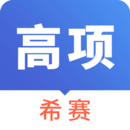 信息系统项目管理软件图标