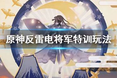 原神反雷电将军特训怎么玩?