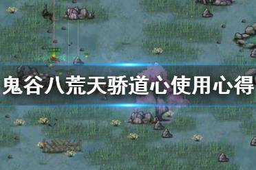 鬼谷八荒天骄道心怎么用?