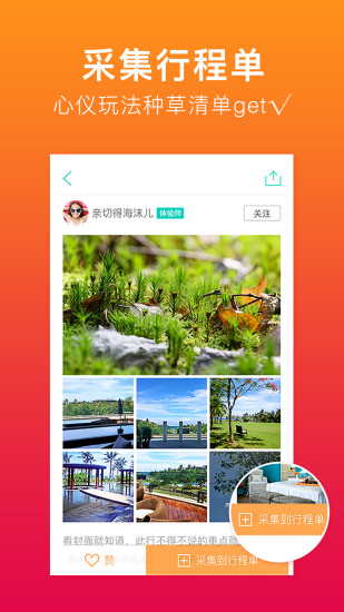 彩贝壳软件截图2