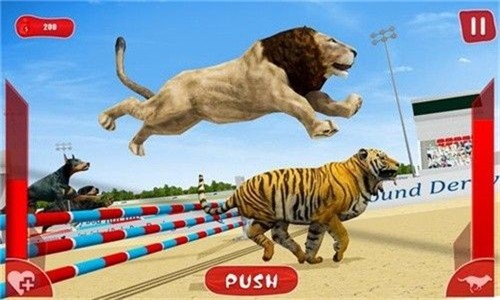 狮子赛跑3D游戏截图3