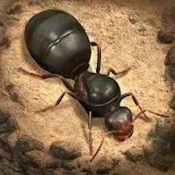 荒野蚂蚁模拟无限金币版