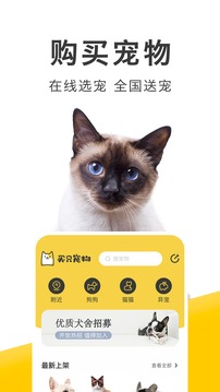 买只宠物软件截图3